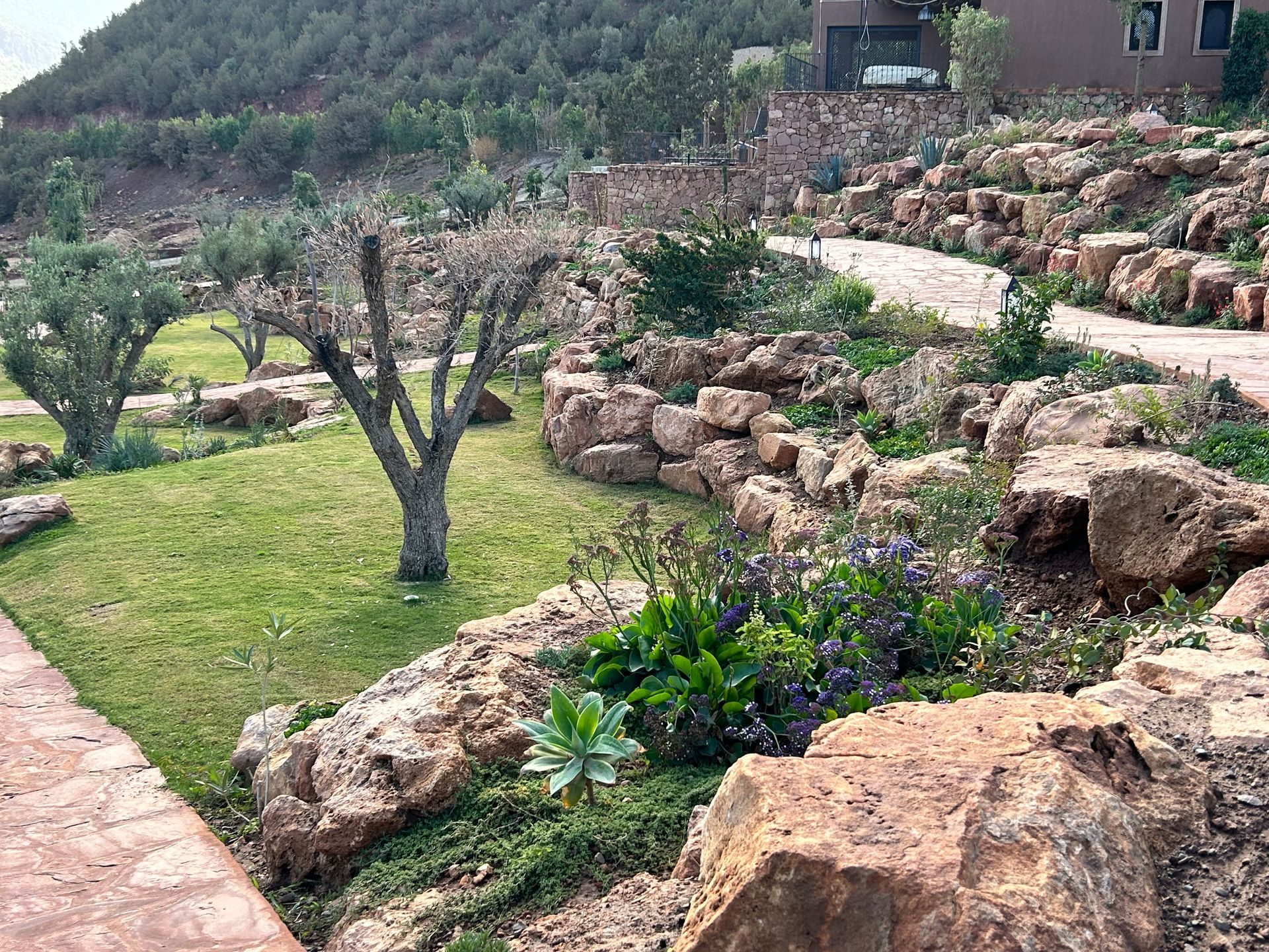 Jardin contemporain avec bassin à Aix-en-Provence — Provence Paysages